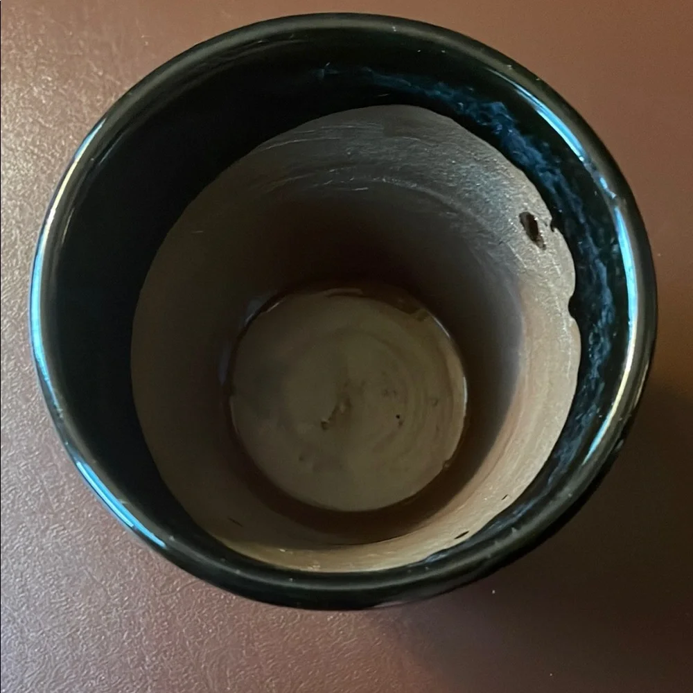 Elegant Black Flower Pot